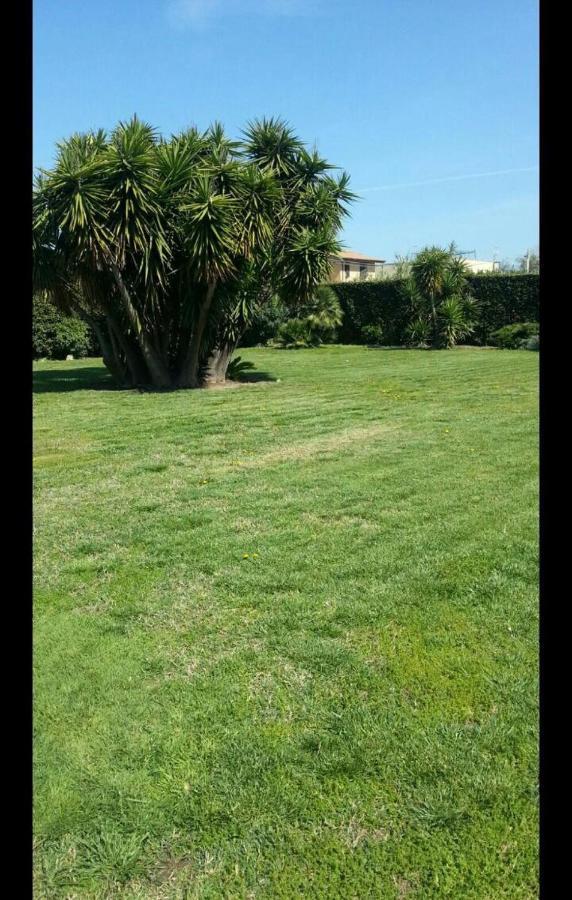 Garden Basement - Seminterrato Max 4 Ospiti - Fiumicino Vicino Aeroporto E Fiera Apartment Exterior photo