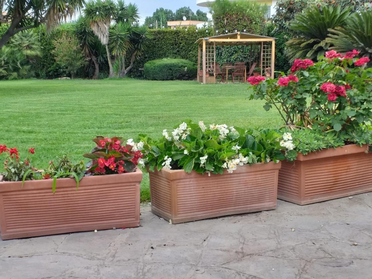 Garden Basement - Seminterrato Max 4 Ospiti - Fiumicino Vicino Aeroporto E Fiera Apartment Exterior photo
